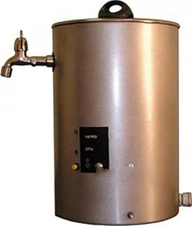 Кипятильник Дебис КНЭ-100-01 нерж. Сталь